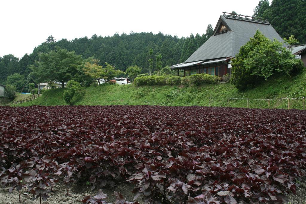 Yumoto Onsen OharaSansou Hotell Kyoto Eksteriør bilde