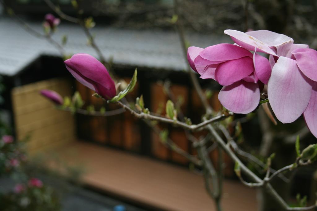 Yumoto Onsen OharaSansou Hotell Kyoto Eksteriør bilde